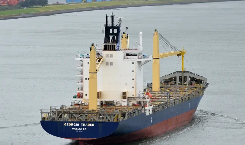 MSC GEORGIA II Container Ship IMO 9357107 photo 2