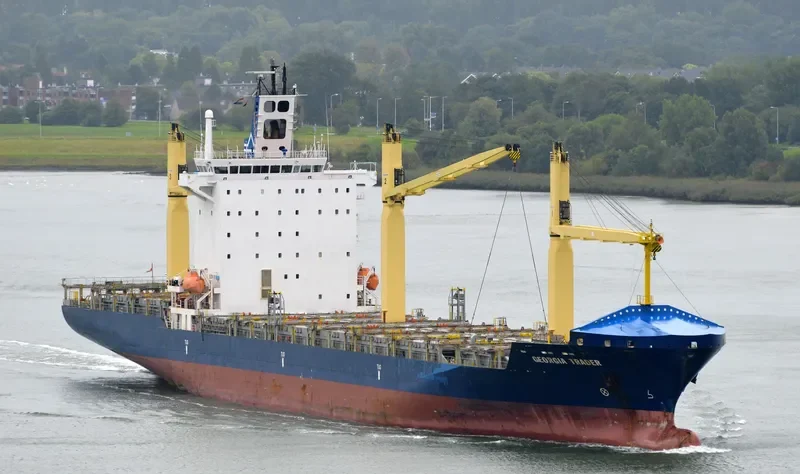 MSC GEORGIA II Container Ship IMO 9357107 photo 3