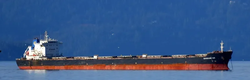 ECOSAND G.O. Bulk Carrier IMO 9357755