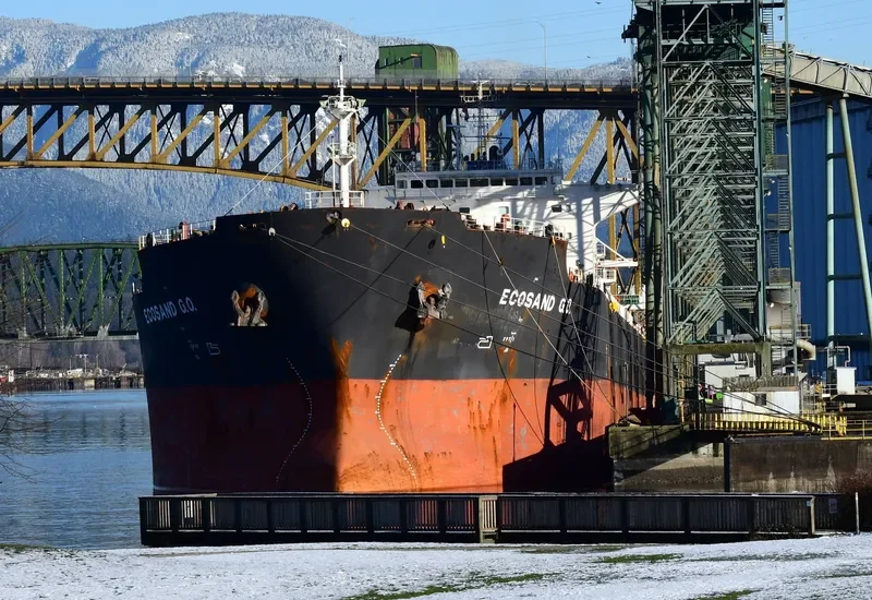 ECOSAND G.O. Bulk Carrier IMO 9357755 photo 3