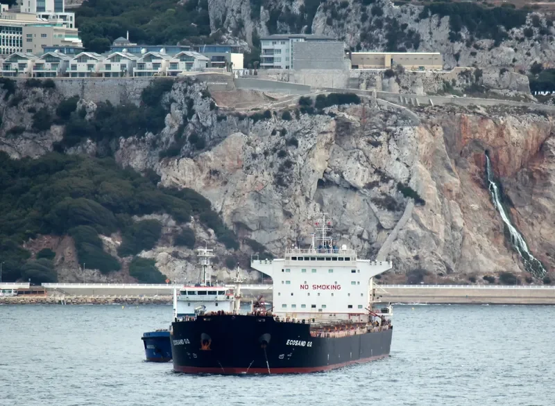 ECOSAND G.O. Bulk Carrier IMO 9357755 photo 5