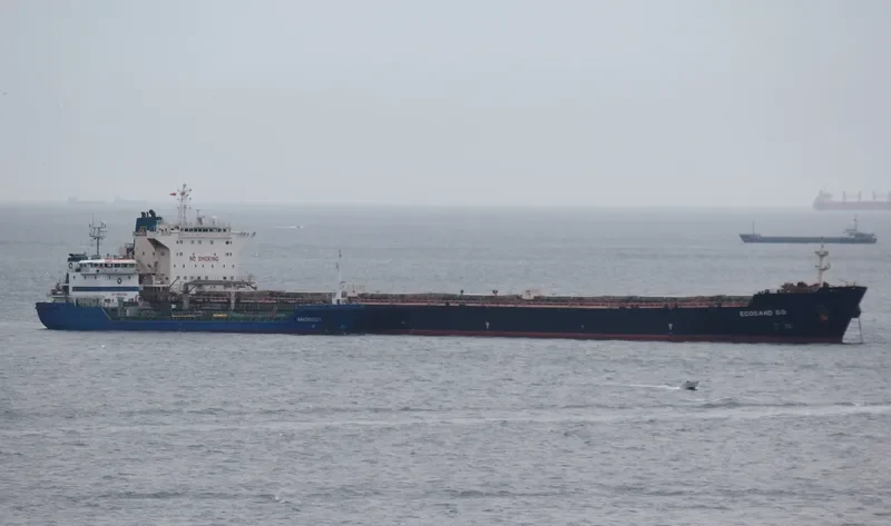 ECOSAND G.O. Bulk Carrier IMO 9357755 photo 6