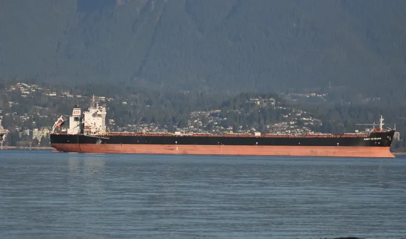 ANNY PETRAKIS Bulk Carrier IMO 9357767 photo 4