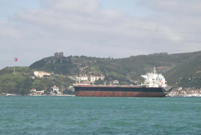 ANNY PETRAKIS Bulk Carrier IMO 9357767 photo 7