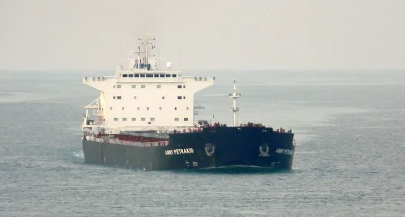 ANNY PETRAKIS Bulk Carrier IMO 9357767 photo 10