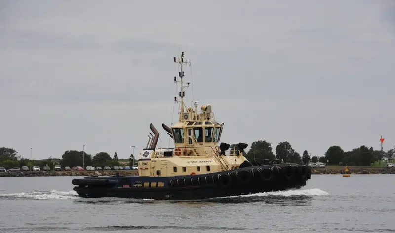 SVITZER MERINGA General Cargo IMO 9357834 photo 8