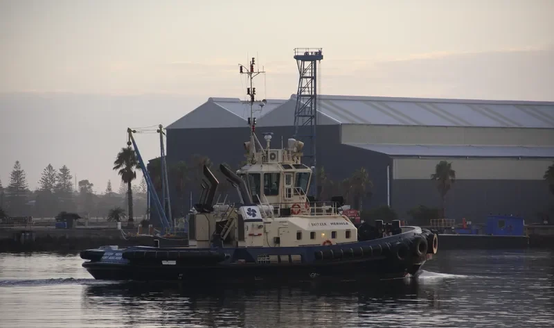 SVITZER MERINGA General Cargo IMO 9357834 photo 9