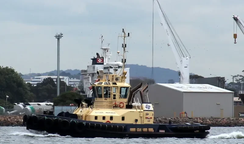 SVITZER MERINGA General Cargo IMO 9357834 photo 10