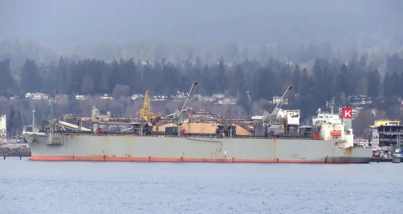FOREST HARMONY Bulk Carrier IMO 9357896