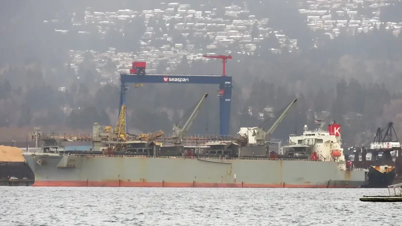 FOREST HARMONY Bulk Carrier IMO 9357896 photo 2