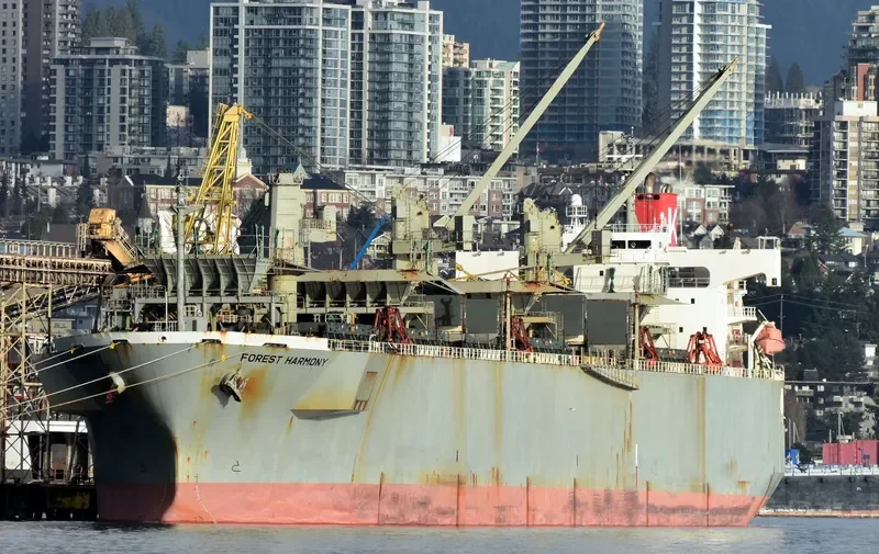 FOREST HARMONY Bulk Carrier IMO 9357896 photo 3