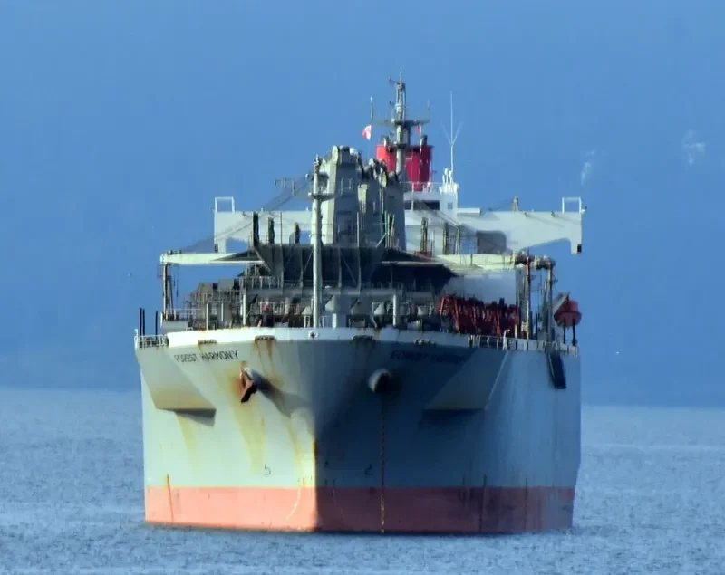 FOREST HARMONY Bulk Carrier IMO 9357896 photo 6