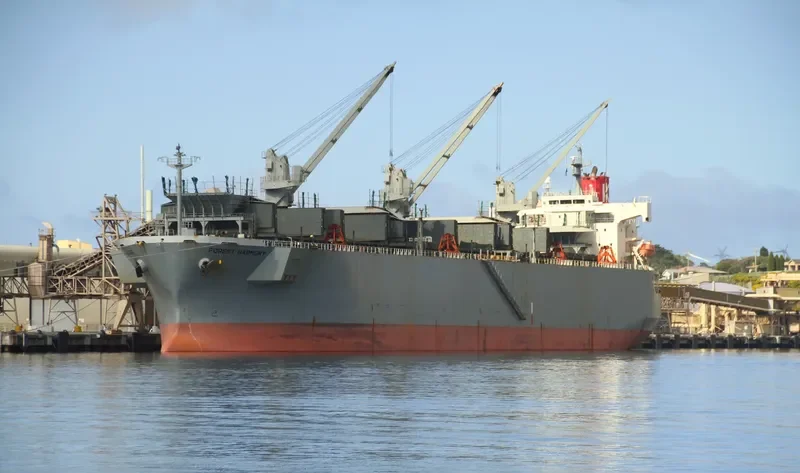 FOREST HARMONY Bulk Carrier IMO 9357896 photo 7