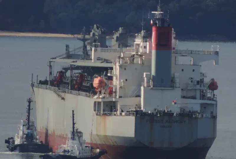FOREST HARMONY Bulk Carrier IMO 9357896 photo 10