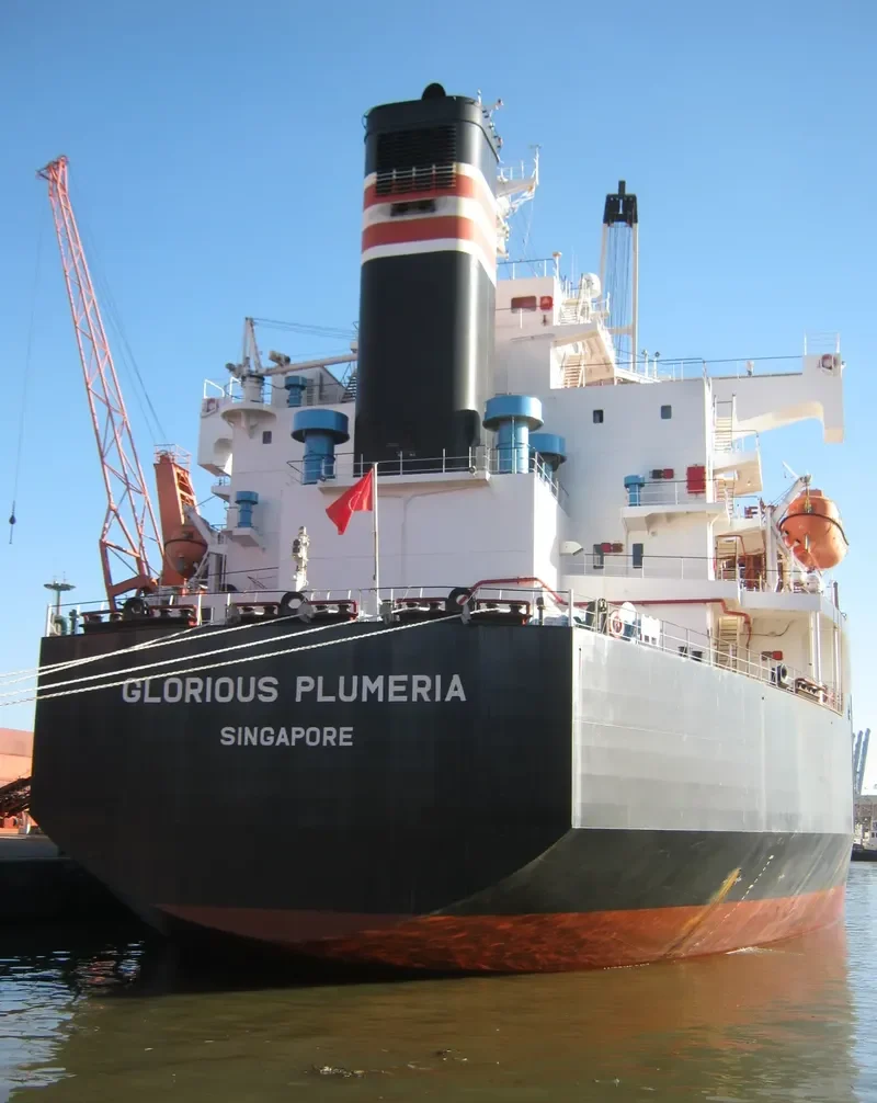FIRST ANGEL Bulk Carrier IMO 9357901 photo 3
