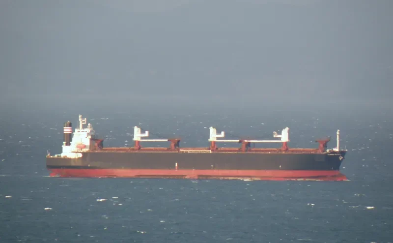 FIRST ANGEL Bulk Carrier IMO 9357901 photo 7
