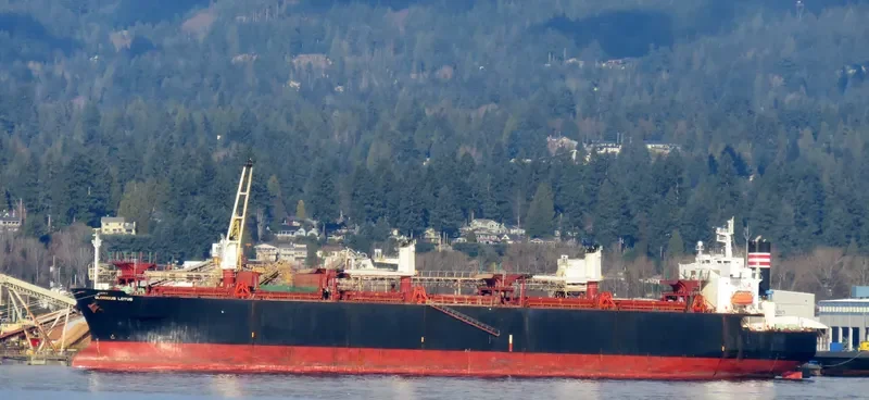 GLORIOUS LOTUS Bulk Carrier IMO 9357913 photo 2
