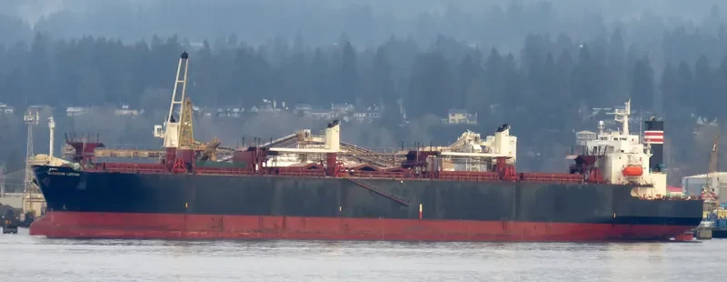 GLORIOUS LOTUS Bulk Carrier IMO 9357913 photo 3