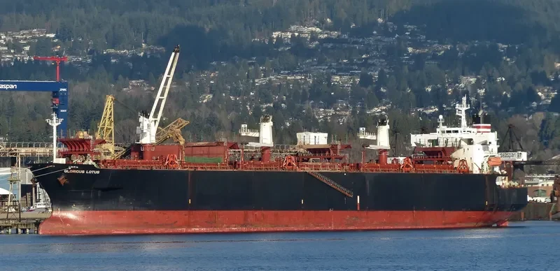 GLORIOUS LOTUS Bulk Carrier IMO 9357913 photo 4
