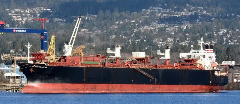 GLORIOUS LOTUS Bulk Carrier IMO 9357913 photo 5