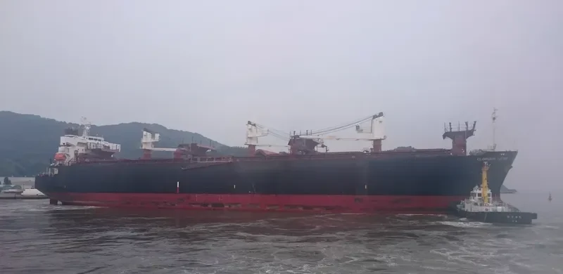 GLORIOUS LOTUS Bulk Carrier IMO 9357913 photo 7