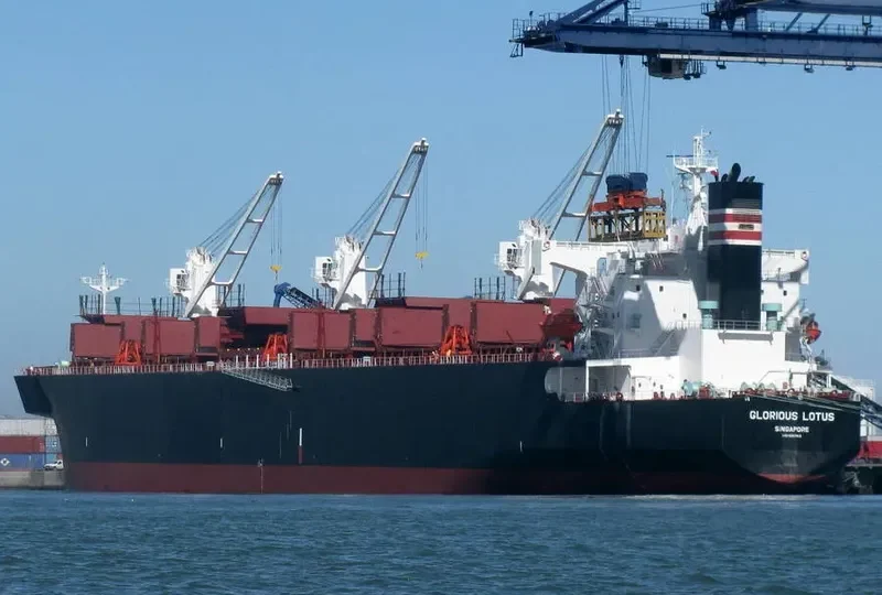GLORIOUS LOTUS Bulk Carrier IMO 9357913 photo 9