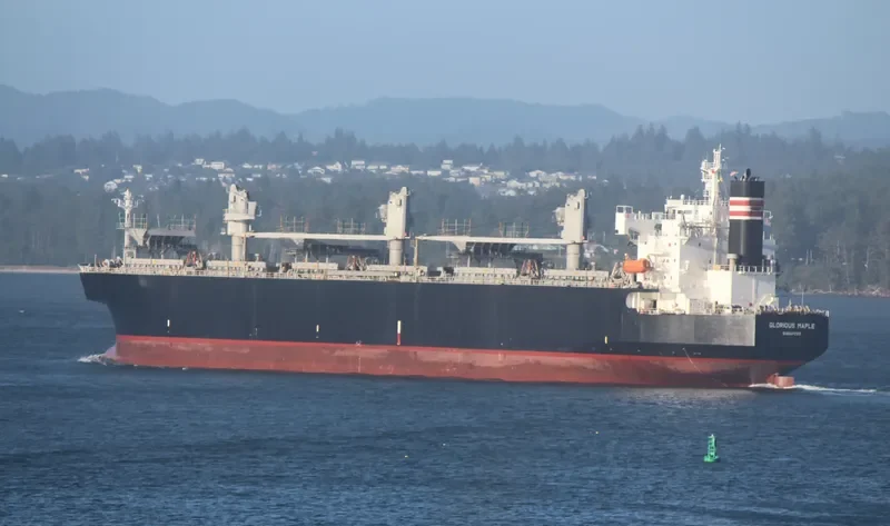 GLORIOUS MAPLE Bulk Carrier IMO 9357925