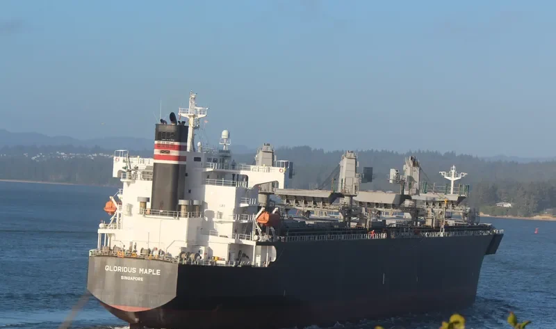 GLORIOUS MAPLE Bulk Carrier IMO 9357925 photo 2