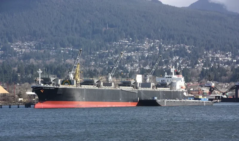 GLORIOUS MAPLE Bulk Carrier IMO 9357925 photo 7