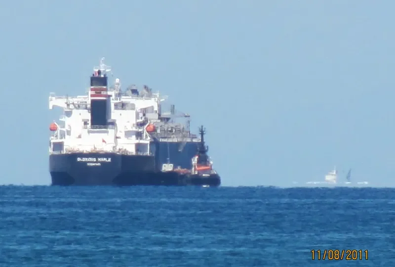 GLORIOUS MAPLE Bulk Carrier IMO 9357925 photo 8