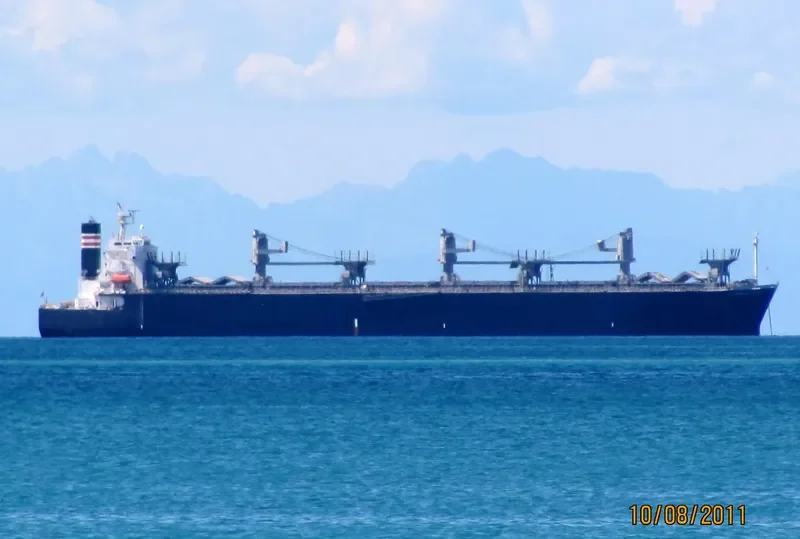 GLORIOUS MAPLE Bulk Carrier IMO 9357925 photo 9