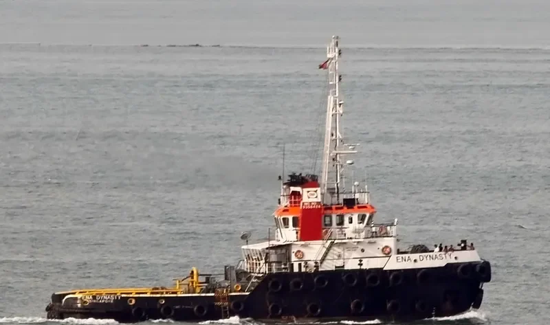 ENA DYNASTY General Cargo IMO 9358424