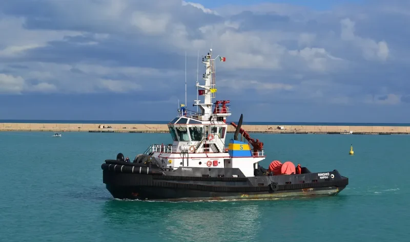RINGHIO General Cargo IMO 9359193