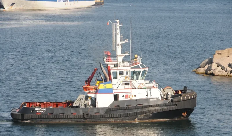 RINGHIO General Cargo IMO 9359193 photo 9