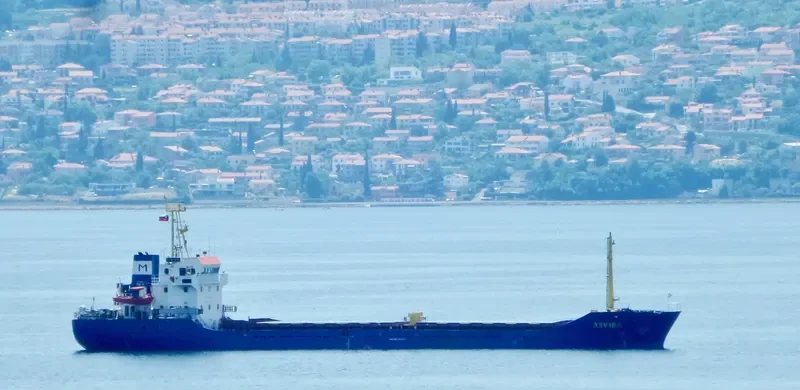 ASVIRA General Cargo IMO 9359210 photo 3