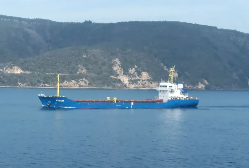 ASVIRA General Cargo IMO 9359210 photo 10