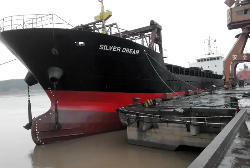 SILVER DREAM General Cargo IMO 9359222 photo 9