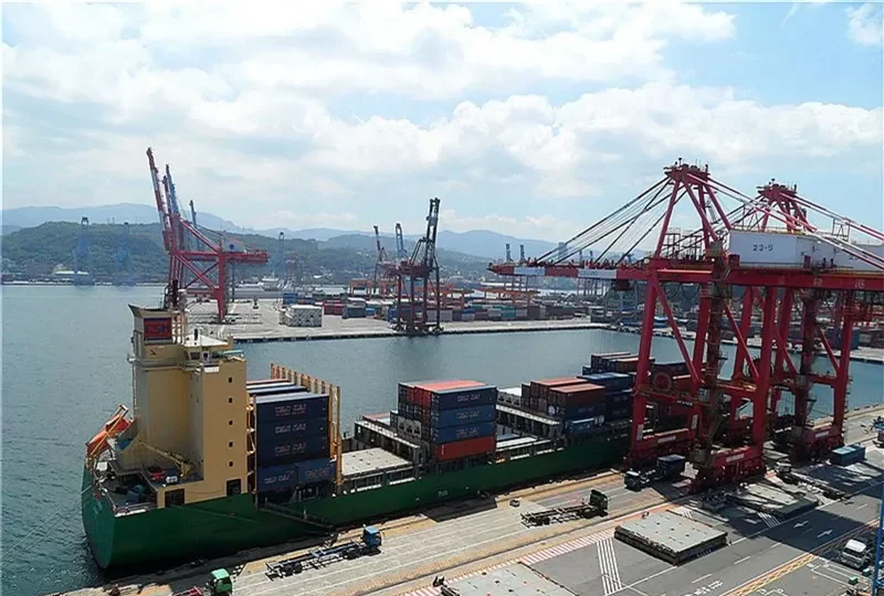 CAPE FULMAR Container Ship IMO 9359313