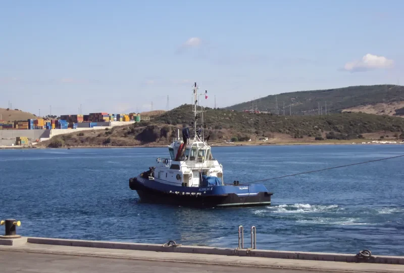 SAFI 12 General Cargo IMO 9359507 photo 8
