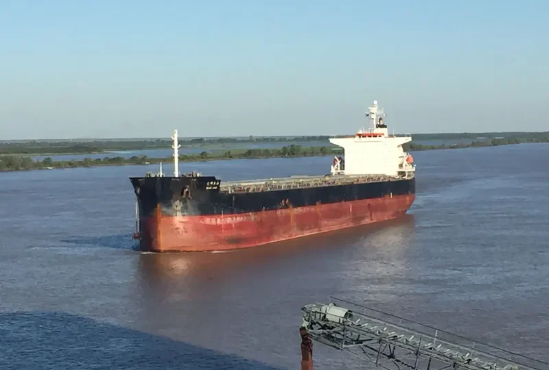 KM MT.JADE Bulk Carrier IMO 9359545 photo 2