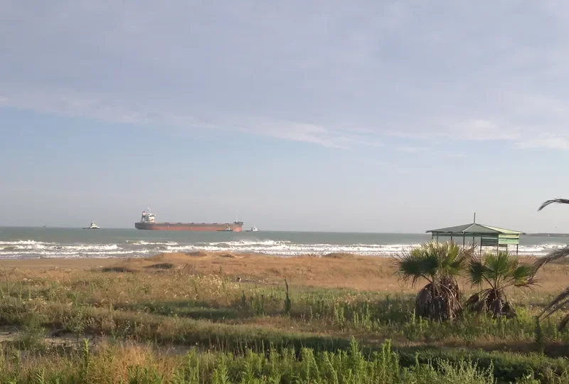 KM MT.JADE Bulk Carrier IMO 9359545 photo 6
