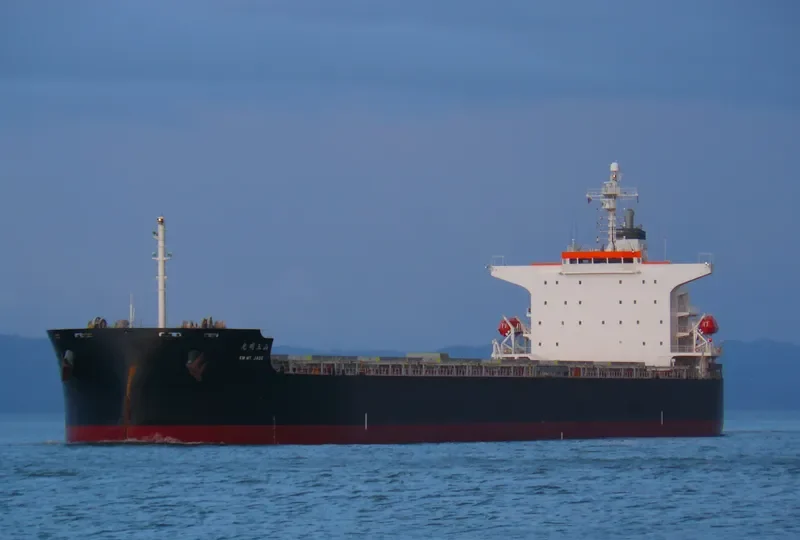 KM MT.JADE Bulk Carrier IMO 9359545 photo 9