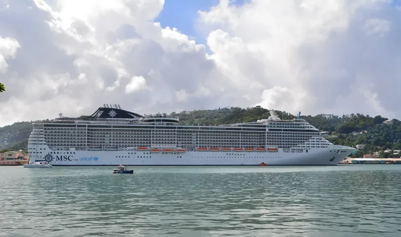 MSC FANTASIA Passenger Ship IMO 9359791 photo 3