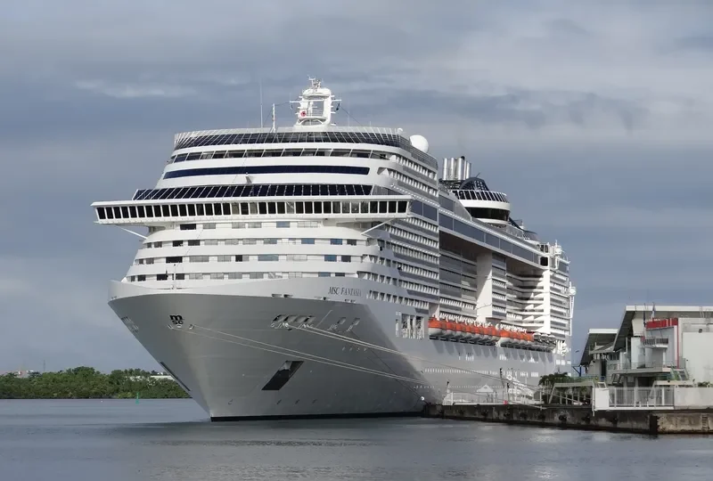 MSC FANTASIA Passenger Ship IMO 9359791 photo 6