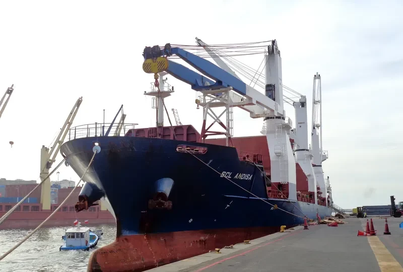 BOCS VISION General Cargo IMO 9359961 photo 8