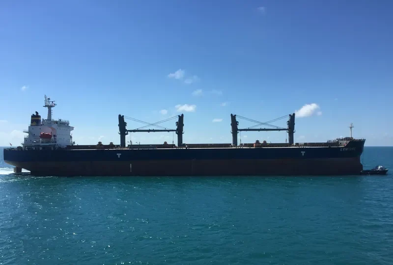 ERMIONE Bulk Carrier IMO 9360025