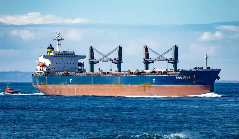 ERMIONE Bulk Carrier IMO 9360025 photo 4