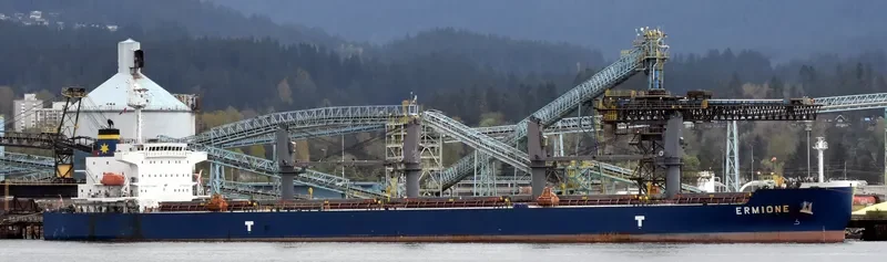 ERMIONE Bulk Carrier IMO 9360025 photo 5
