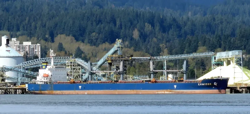 ERMIONE Bulk Carrier IMO 9360025 photo 6