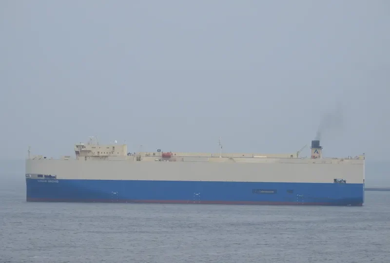 DREAM ORCHID Ro-Ro IMO 9360568 photo 4